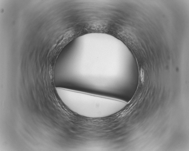 X0000088421107200705220830