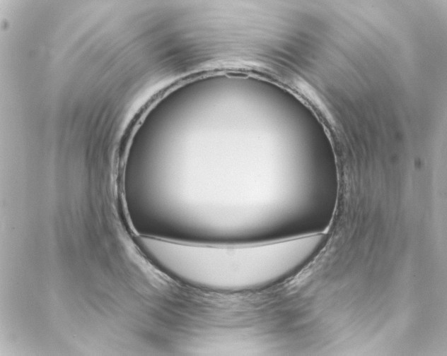 X0000088421124200705220830