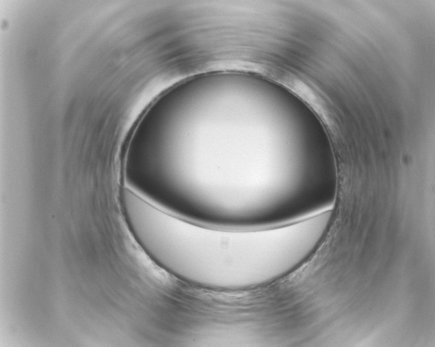 X0000088421140200705220830
