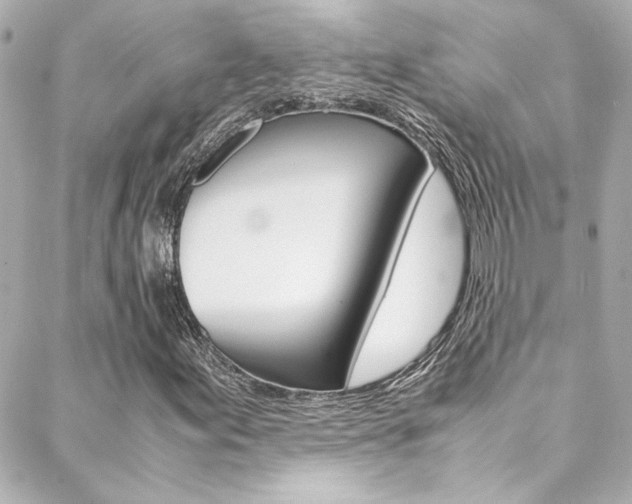 X0000088421155200705220830