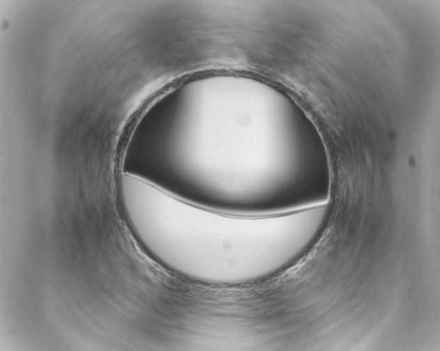 X0000088421168200705220830