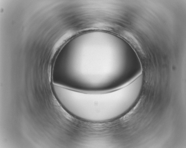 X0000088421180200705220829