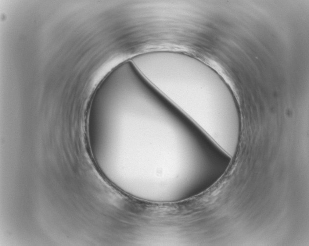 X0000088421187200705220829