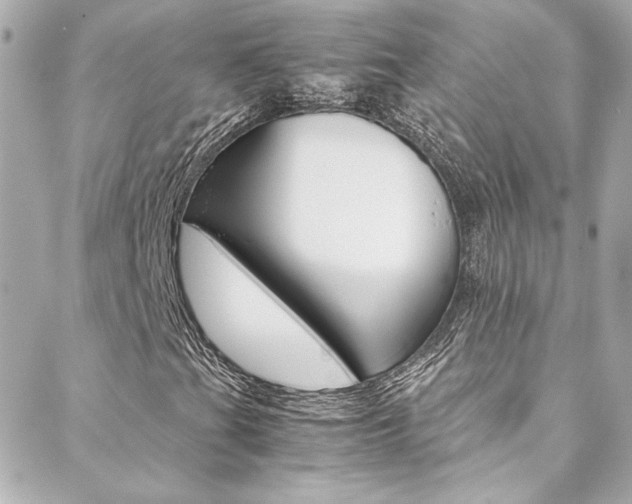 X0000088421201200705220828