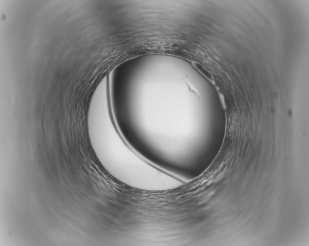 X0000088421202200705220828