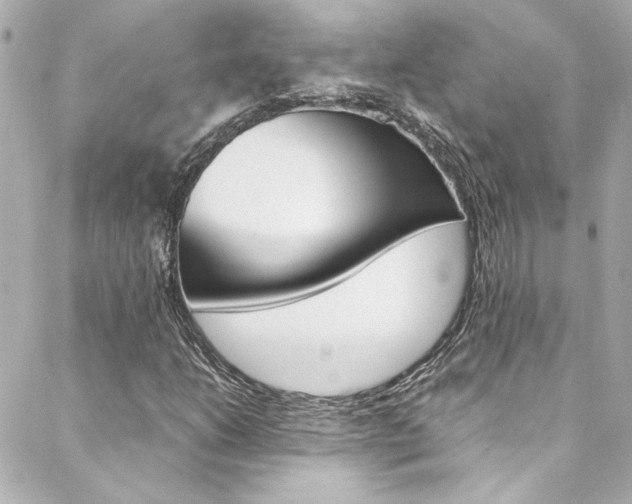 X0000088421206200705220828