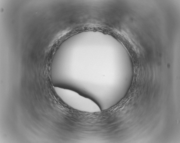 X0000088421207200705220828