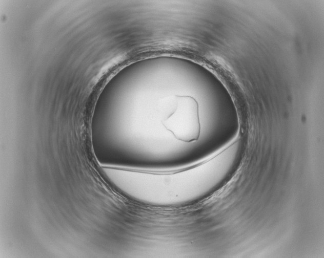 X0000088421210200705220828