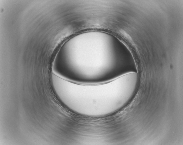 X0000088421218200705220829