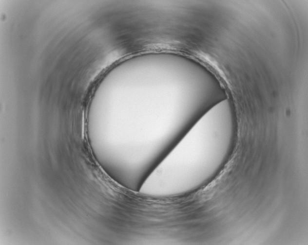 X0000088421219200705220829