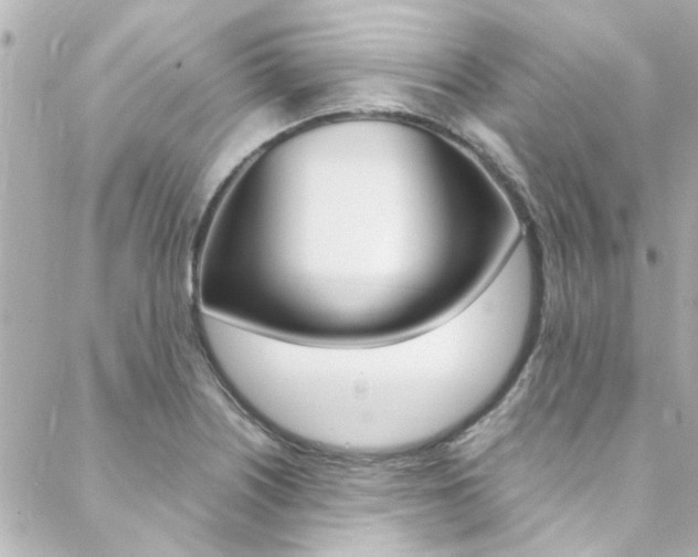 X0000088421226200705220829