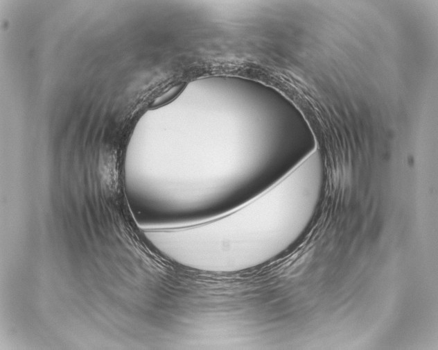 X0000088421252200705220828