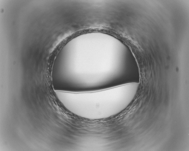 X0000088421256200705220828