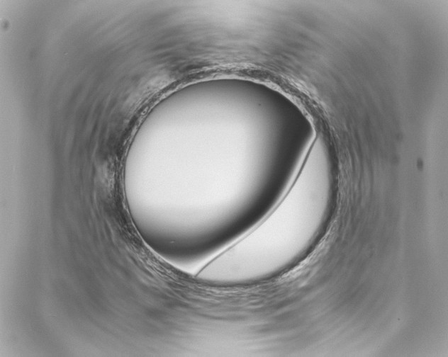 X0000088421257200705220828