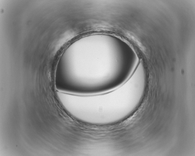 X0000088421261200705220828