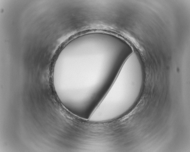 X0000088421264200705220828