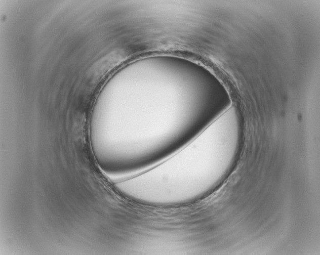 X0000088421265200705220828