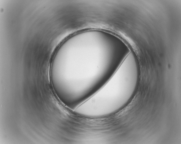 X0000088421272200705220828