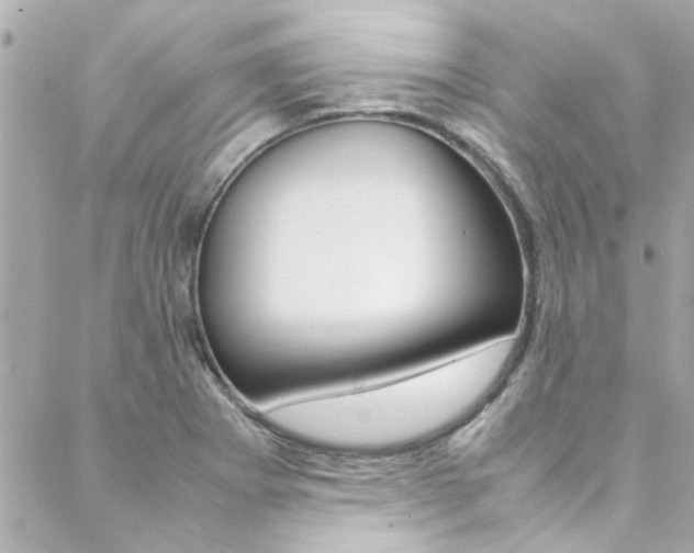 X0000088421273200705220828