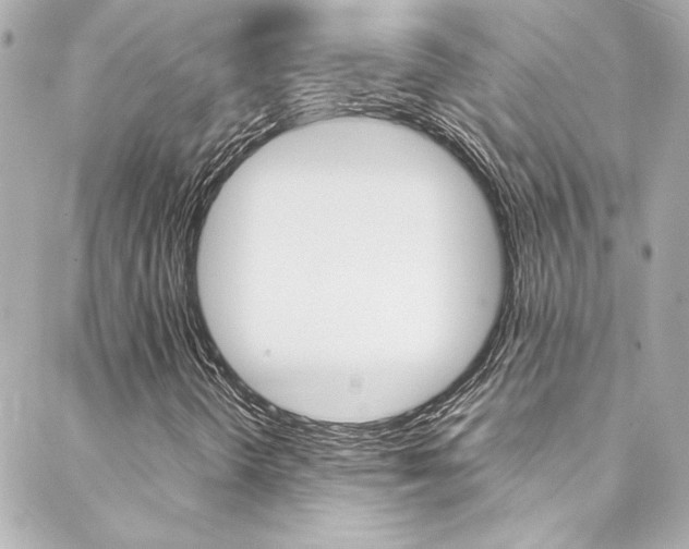 X0000088421298200705220827