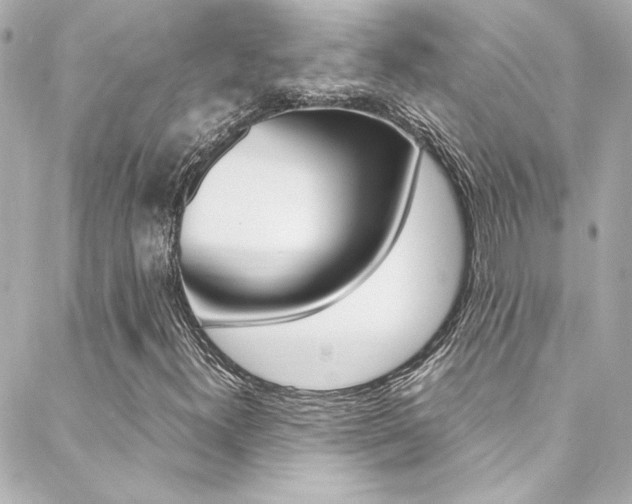 X0000088421300200705220827