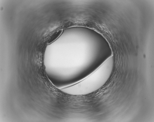 X0000088421301200705220827