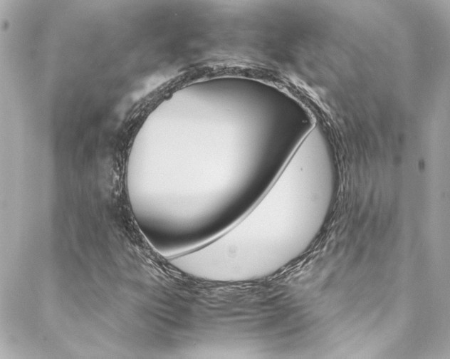 X0000088421303200705220827