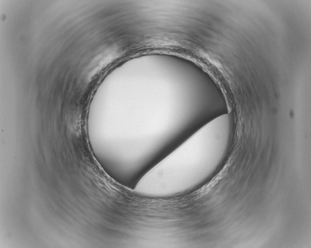 X0000088421306200705220827