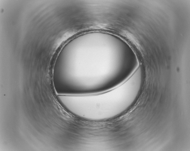 X0000088421308200705220827