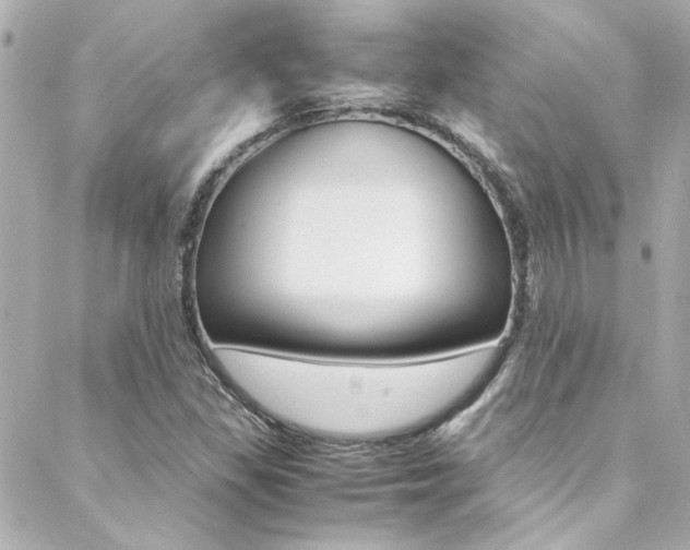 X0000088421309200705220827
