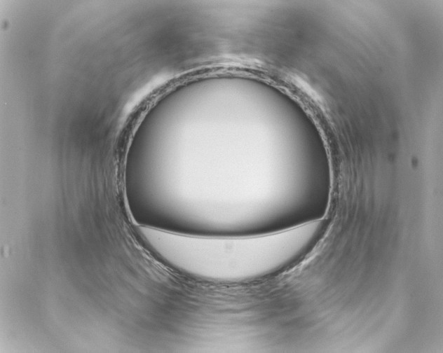X0000088421310200705220827