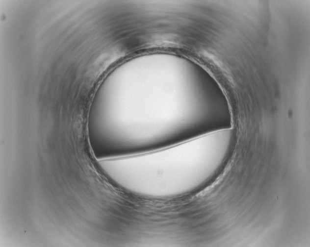 X0000088421313200705220827
