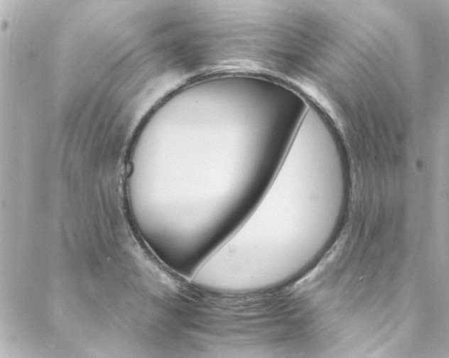 X0000088421325200705220827