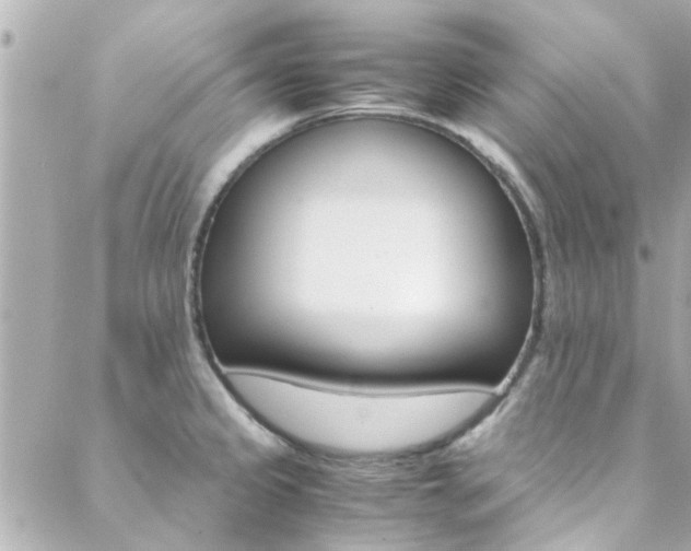 X0000088421333200705220827