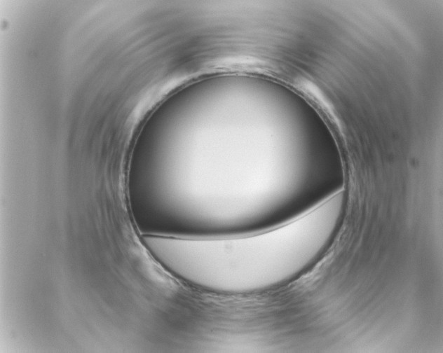 X0000088421336200705220827