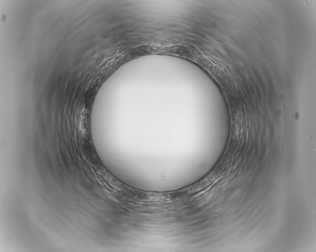 X0000088421346200705220827