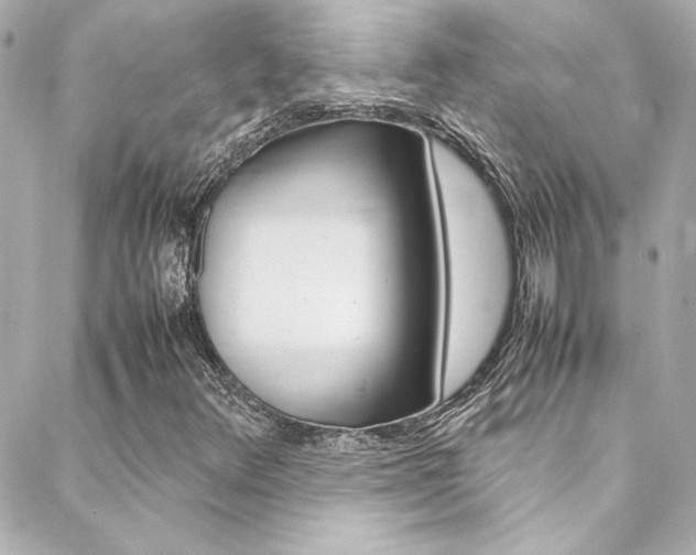X0000088421348200705220827