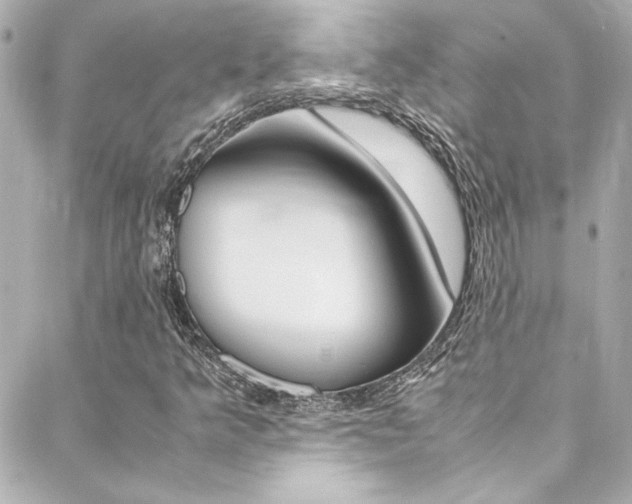 X0000088421349200705220827