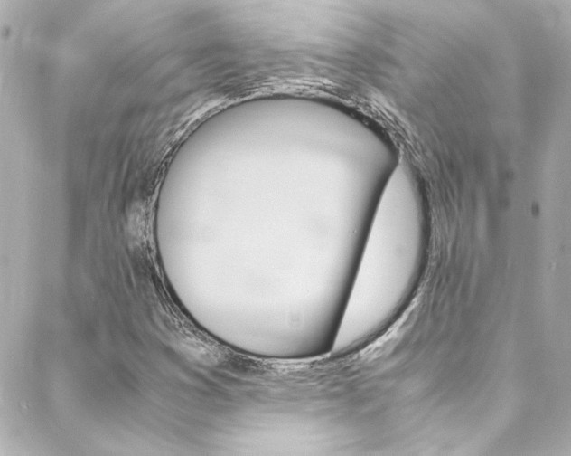 X0000088421353200705220827