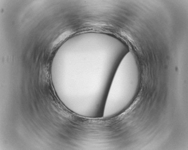 X0000088421354200705220827