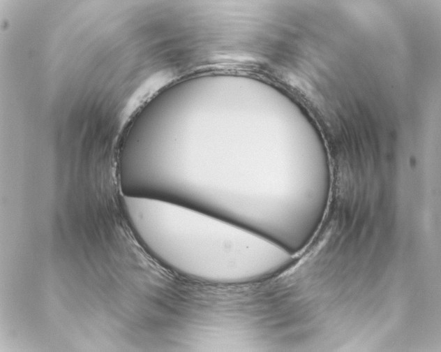 X0000088421362200705220826
