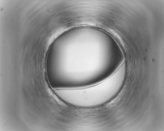 X0000088421373200705220826