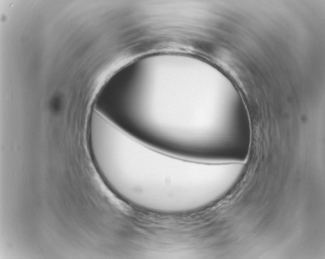 X0000088421379200705220826