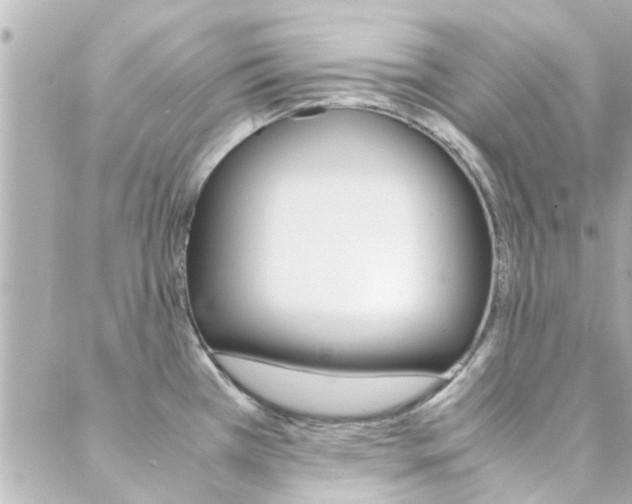 X0000088421385200705220826