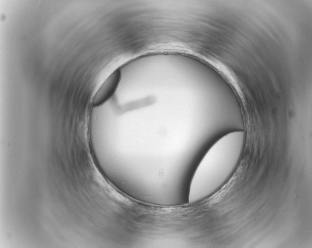 X0000088421390200705220826