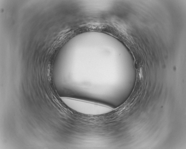 X0000088421396200705220825
