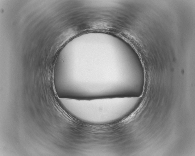 X0000088421401200705220825