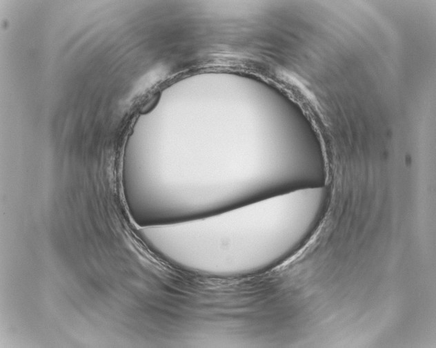 X0000088421403200705220825