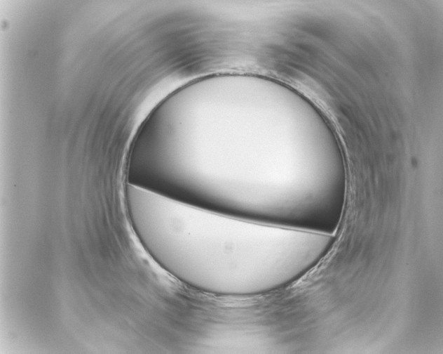 X0000088421440200705220826