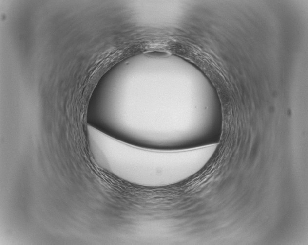 X0000088421441200705220825
